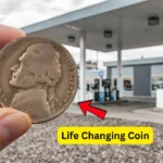 1943-p jefferson nickel (3)