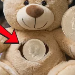 1964 Kennedy Half Dollar teddy