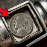 Nickel Found Inside Flashlight